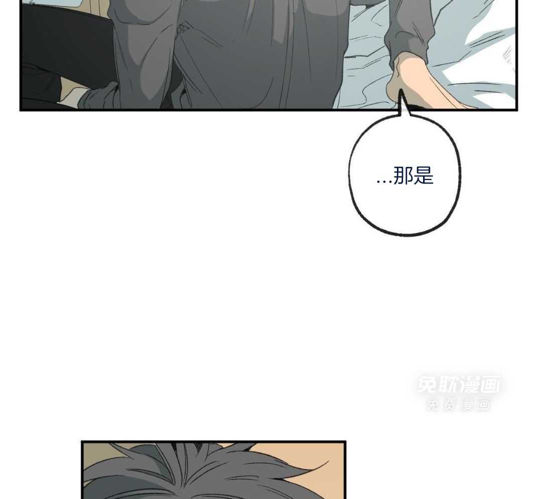 同情的形式（共3季） 第243话 第30页