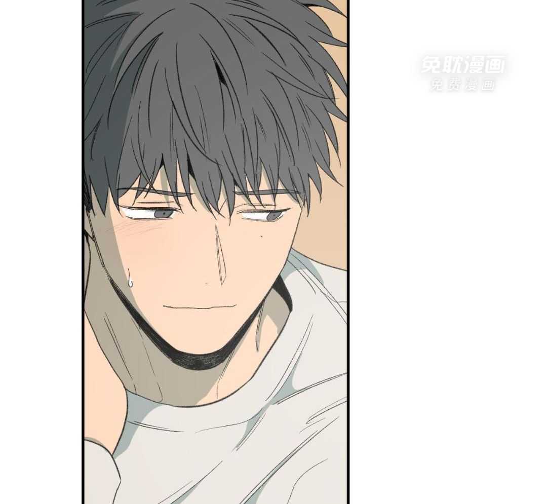 同情的形式（共3季） 第243话 第31页