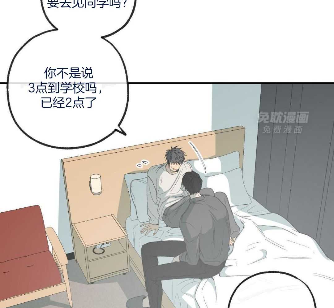 同情的形式（共3季） 第243话 第33页