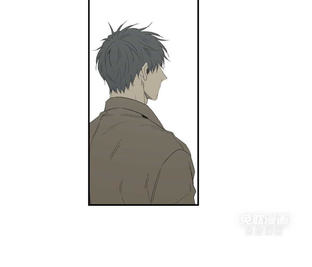 同情的形式（共3季） 第243话 第44页