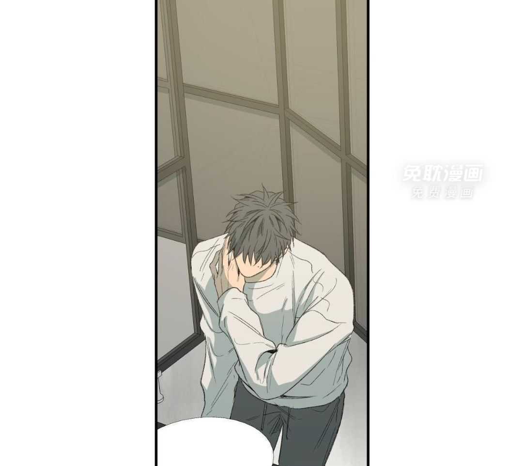 同情的形式（共3季） 第244话 第16页