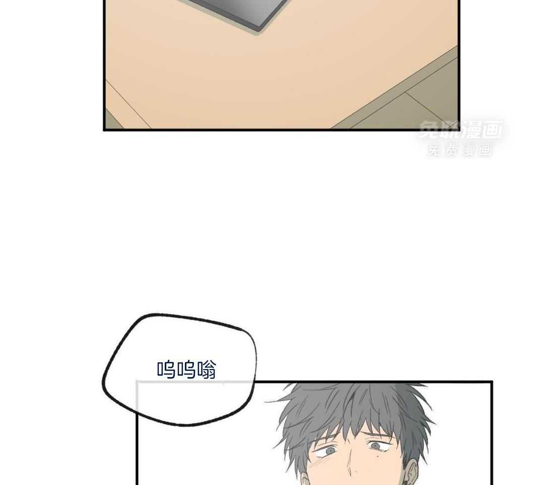 同情的形式（共3季） 第244话 第23页