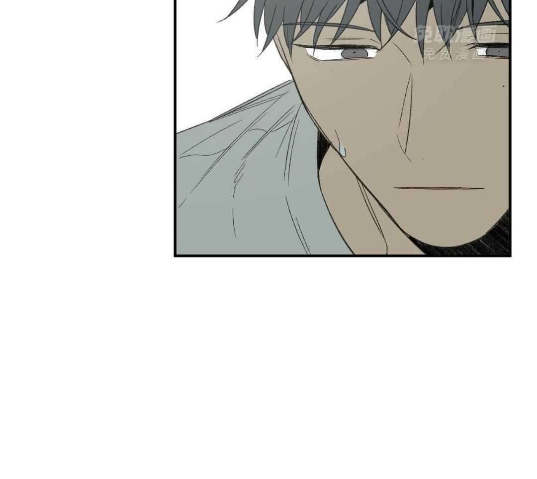 同情的形式（共3季） 第244话 第28页