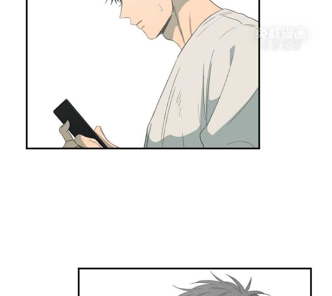 同情的形式（共3季） 第244话 第31页