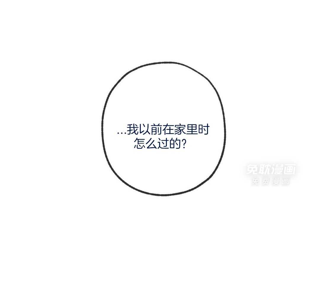 同情的形式（共3季） 第244话 第41页