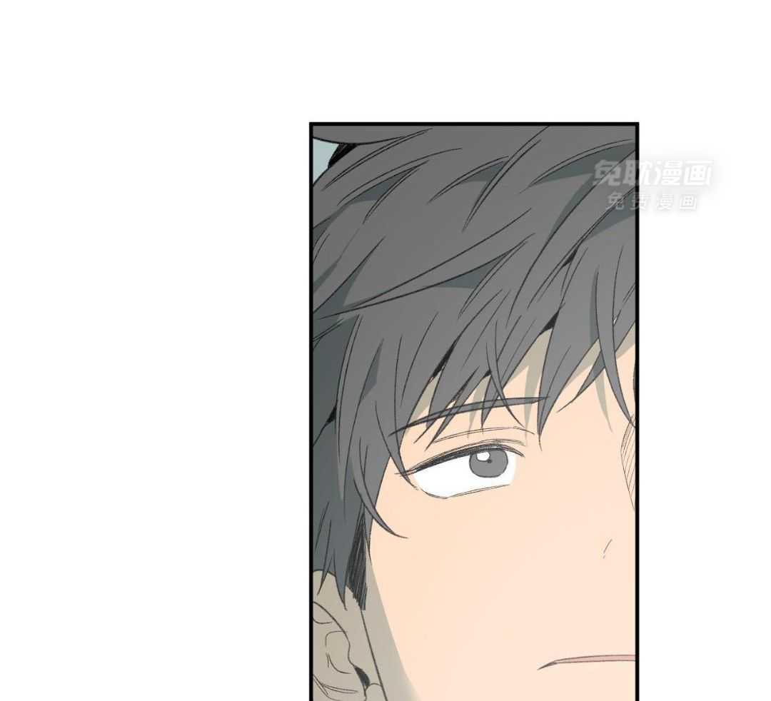 同情的形式（共3季） 第244话 第53页