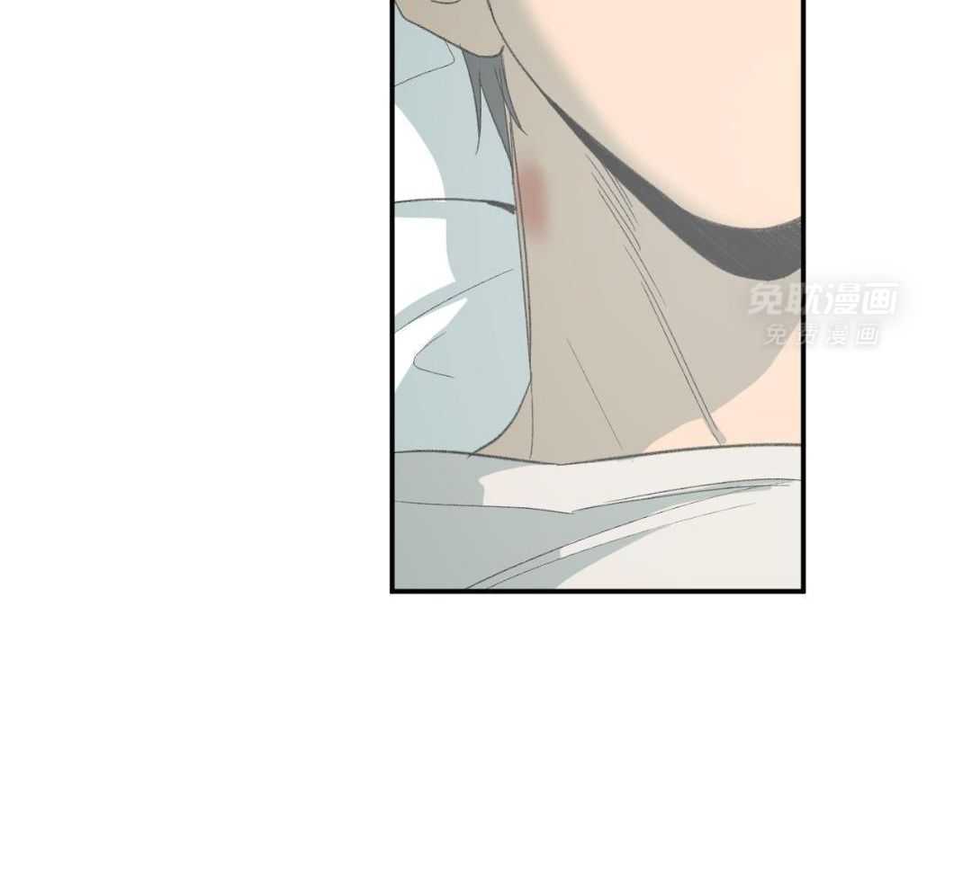 同情的形式（共3季） 第244话 第54页