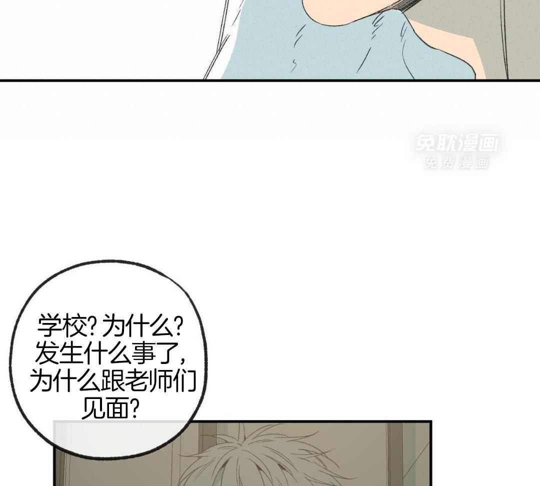 同情的形式（共3季） 第245话 第26页