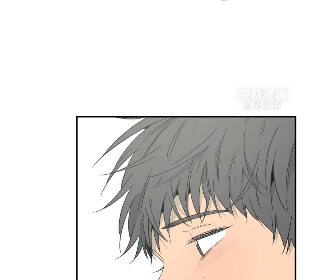 同情的形式（共3季） 第245话 第31页