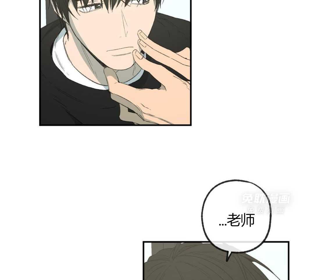 同情的形式（共3季） 第246话 第1页