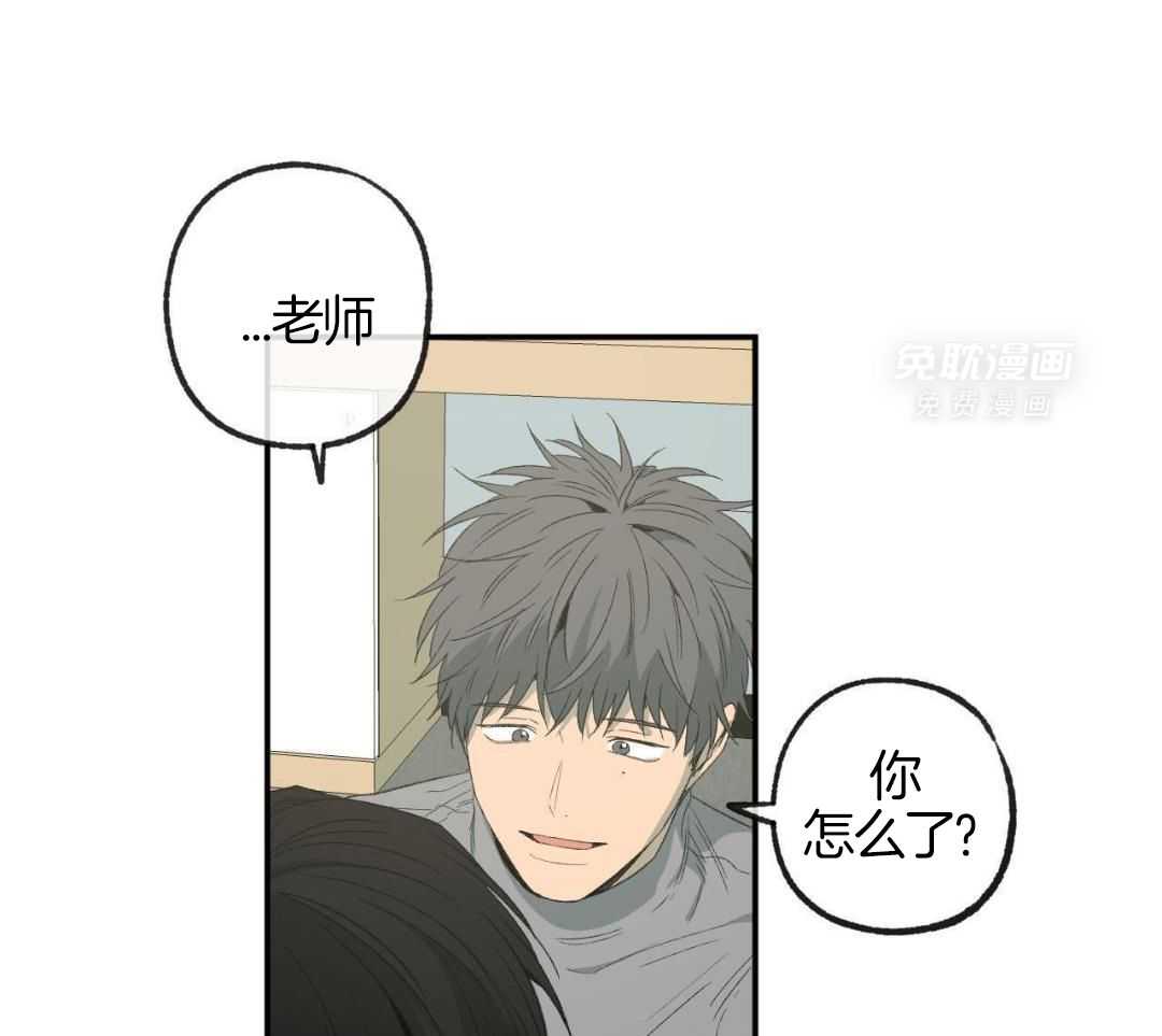 同情的形式（共3季） 第246话 第3页