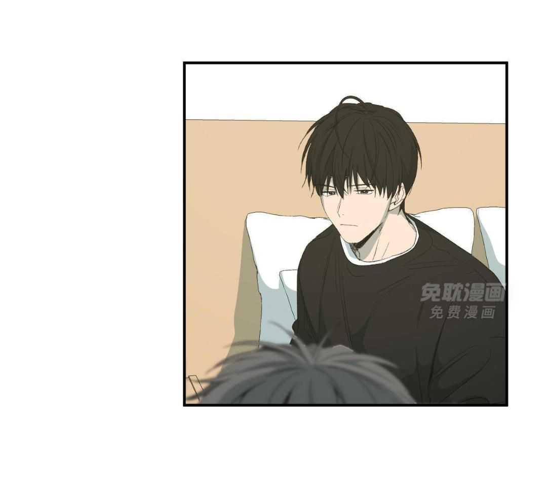 同情的形式（共3季） 第246话 第17页