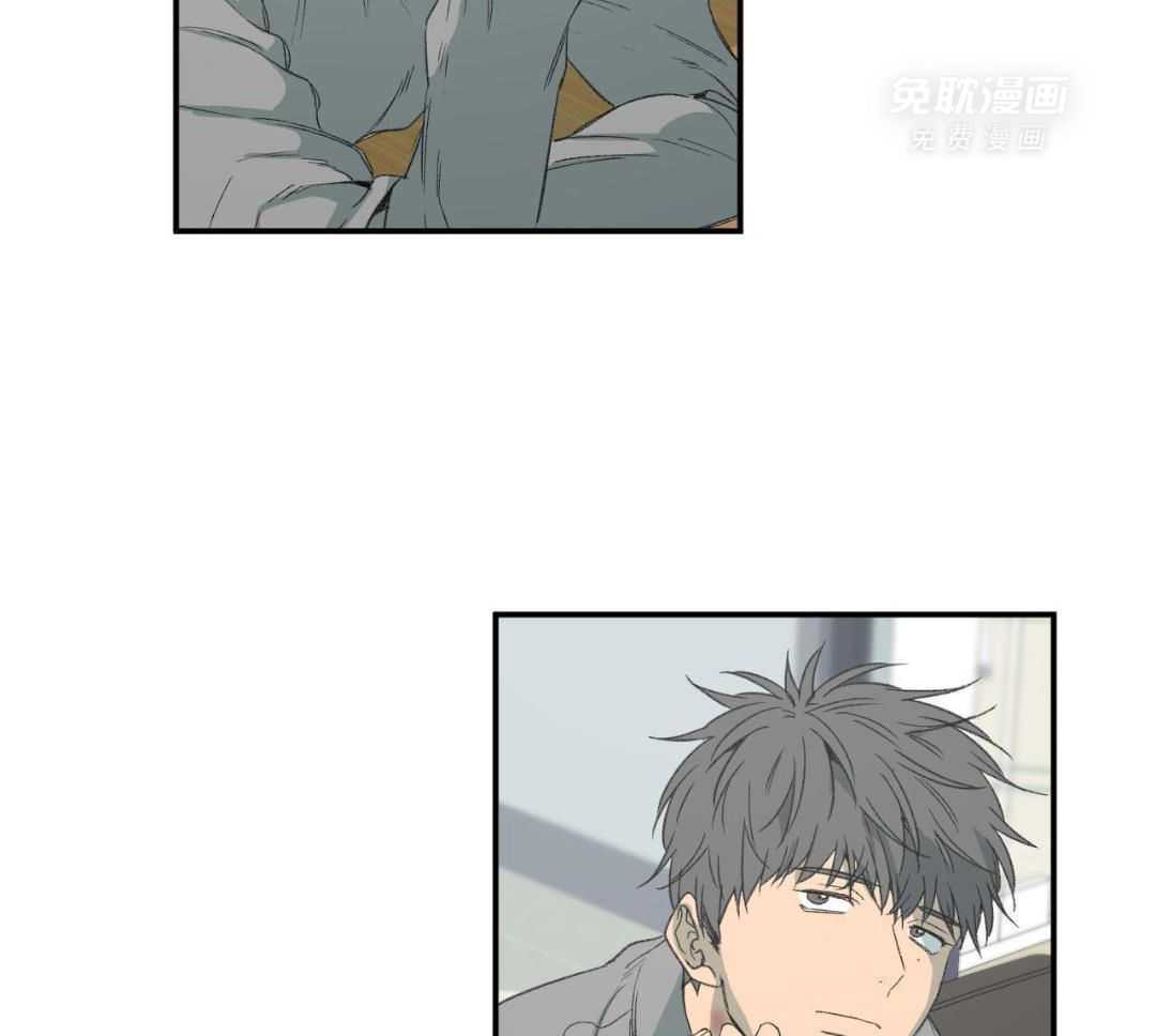 同情的形式（共3季） 第246话 第32页