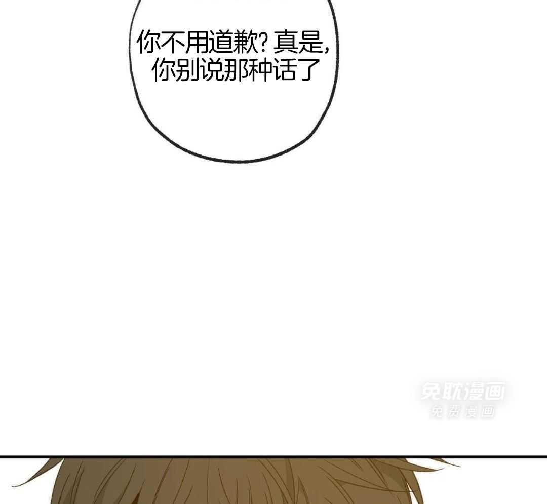 同情的形式（共3季） 第247话 第28页