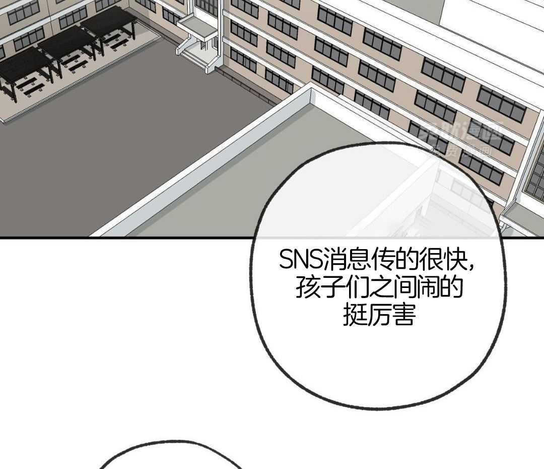 同情的形式（共3季） 第247话 第35页