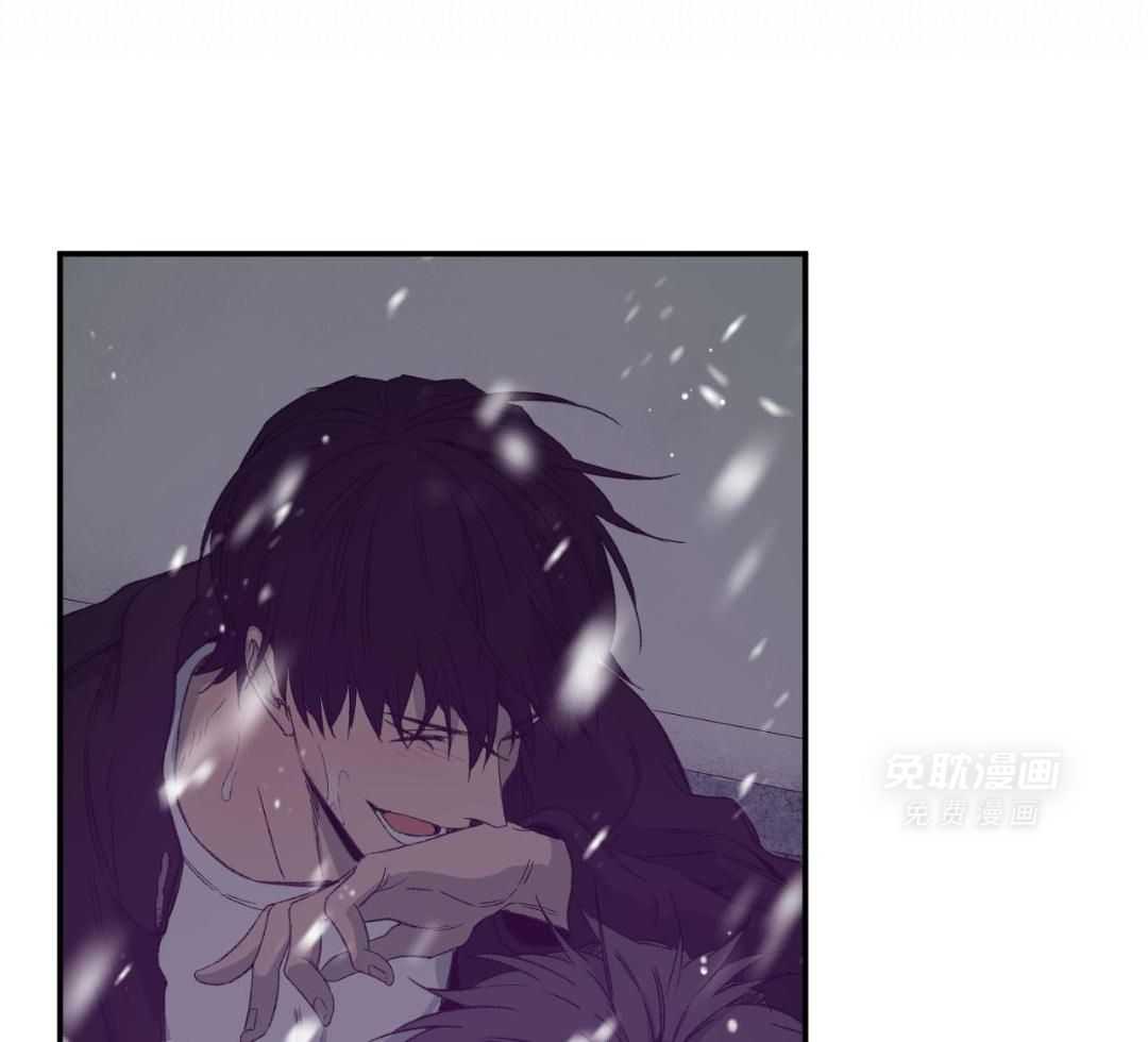 同情的形式（共3季） 第247话 第60页