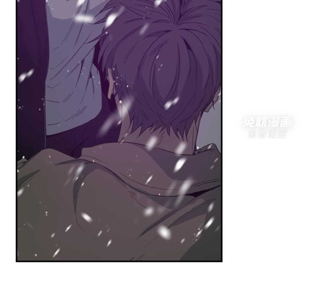 同情的形式（共3季） 第247话 第61页