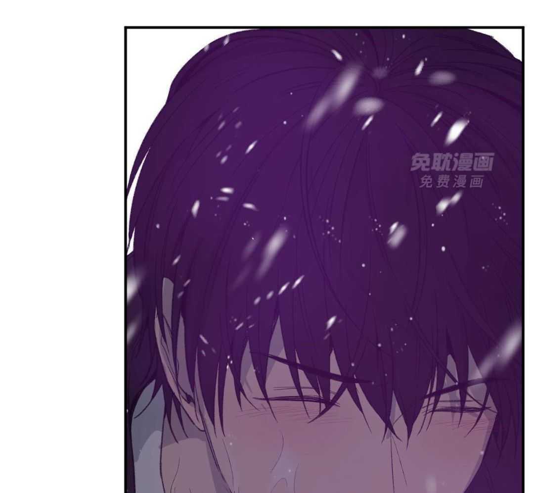 同情的形式（共3季） 第247话 第62页