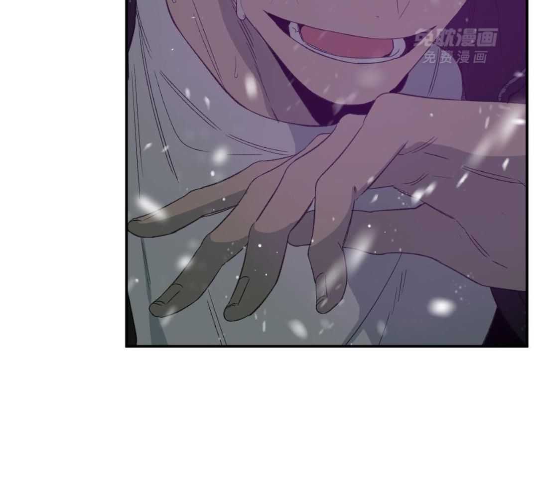 同情的形式（共3季） 第247话 第63页