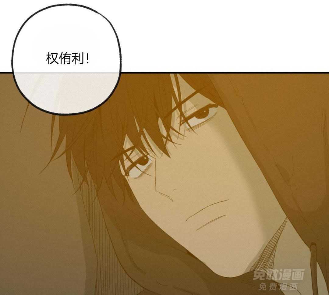 同情的形式（共3季） 第248话 第17页