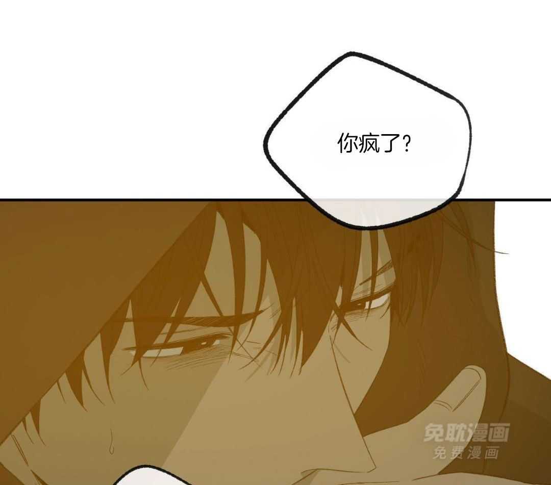 同情的形式（共3季） 第248话 第31页