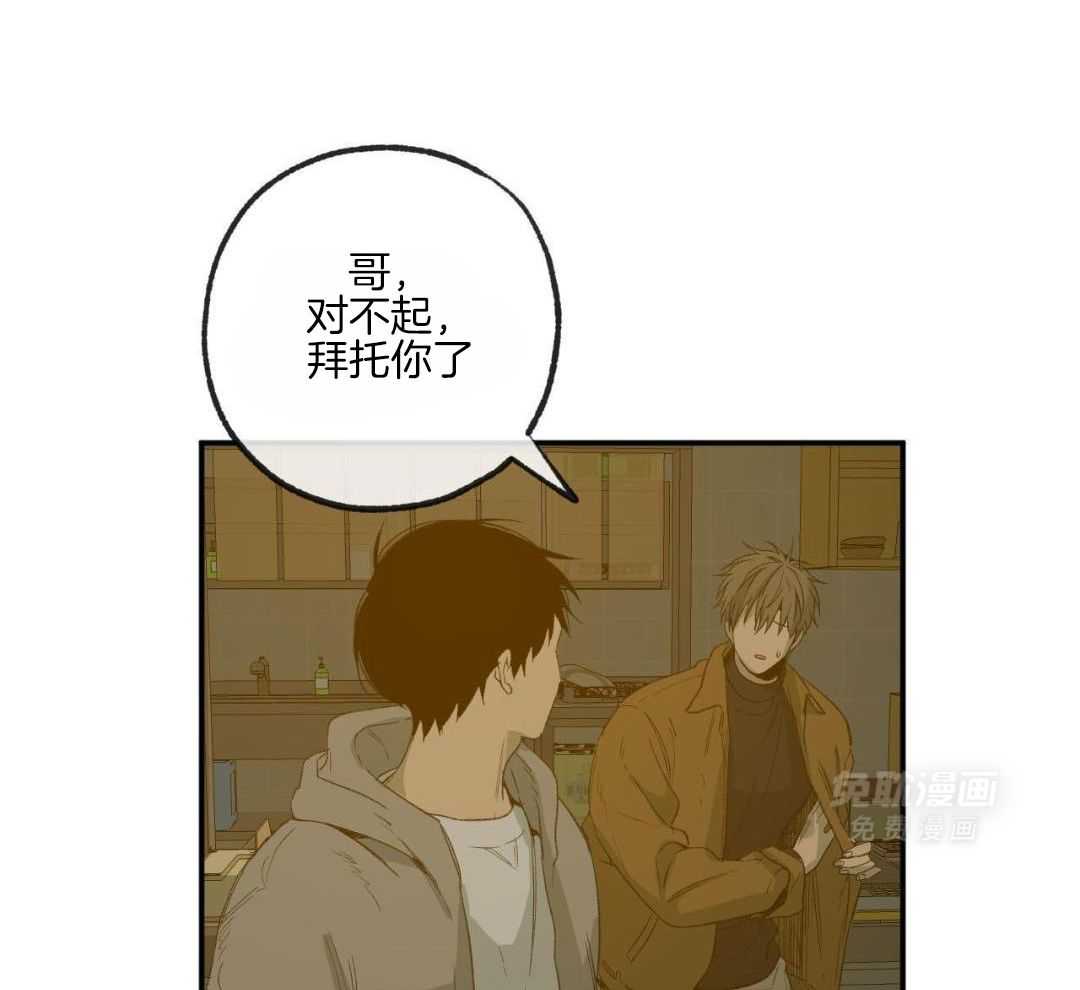 同情的形式（共3季） 第249话 第5页