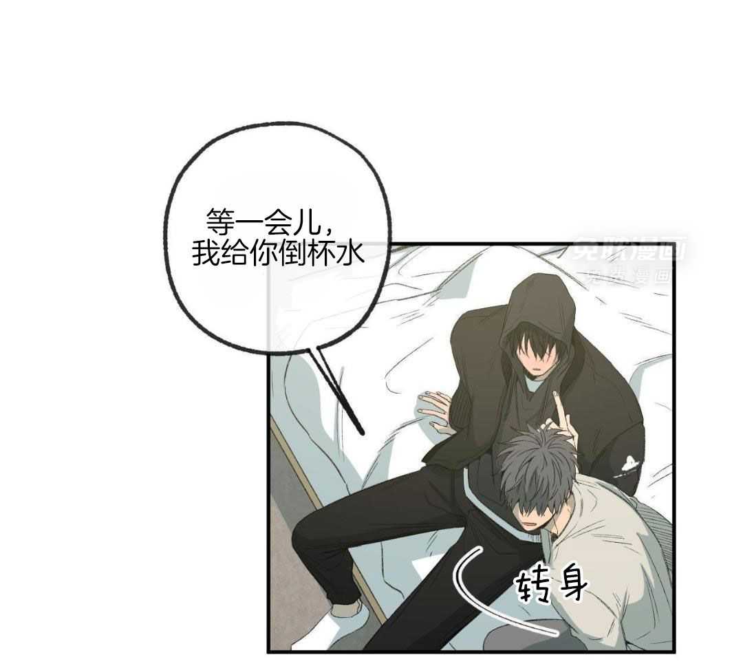 同情的形式（共3季） 第250话 第17页