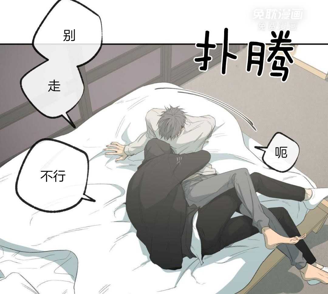 同情的形式（共3季） 第250话 第20页