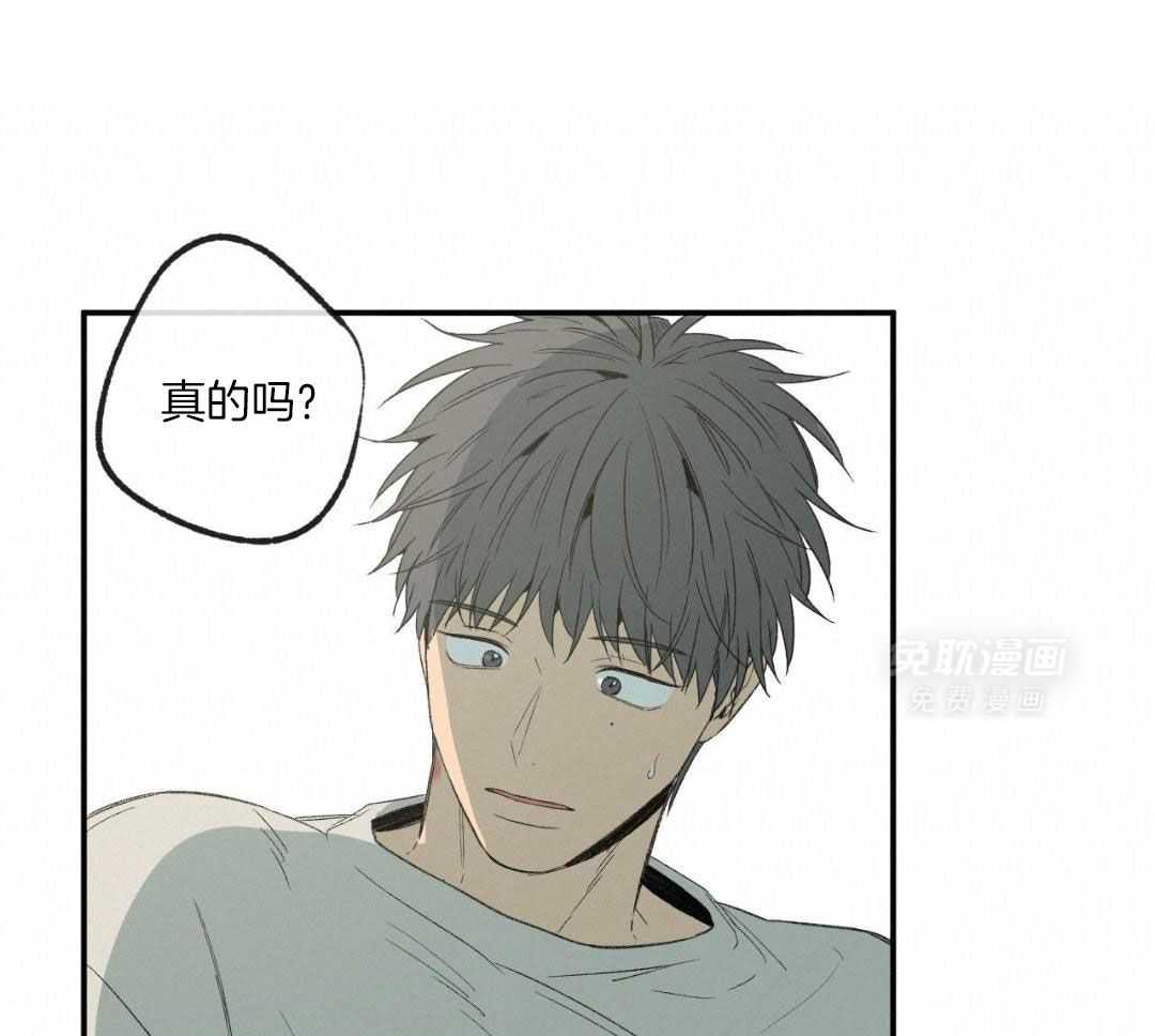 同情的形式（共3季） 第250话 第29页