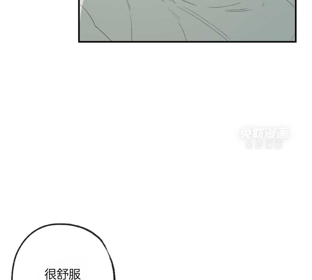 同情的形式（共3季） 第250话 第31页