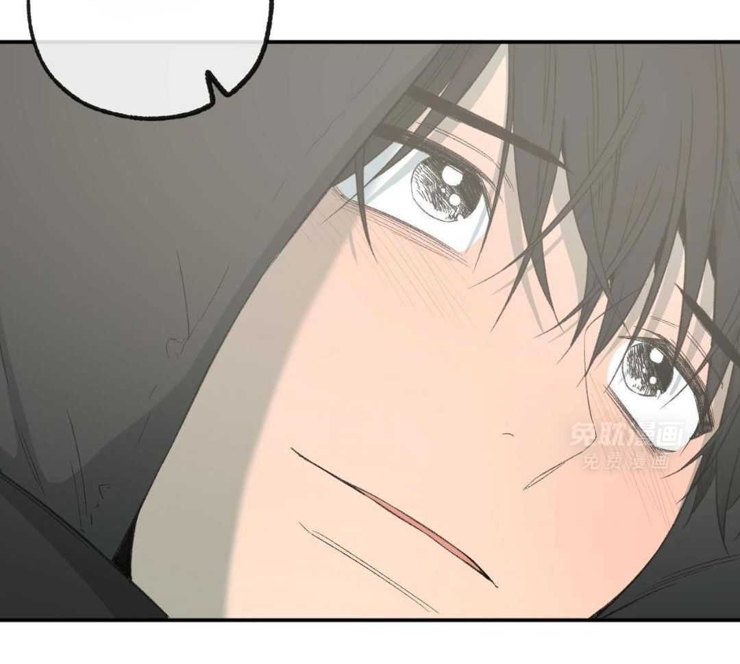 同情的形式（共3季） 第250话 第32页