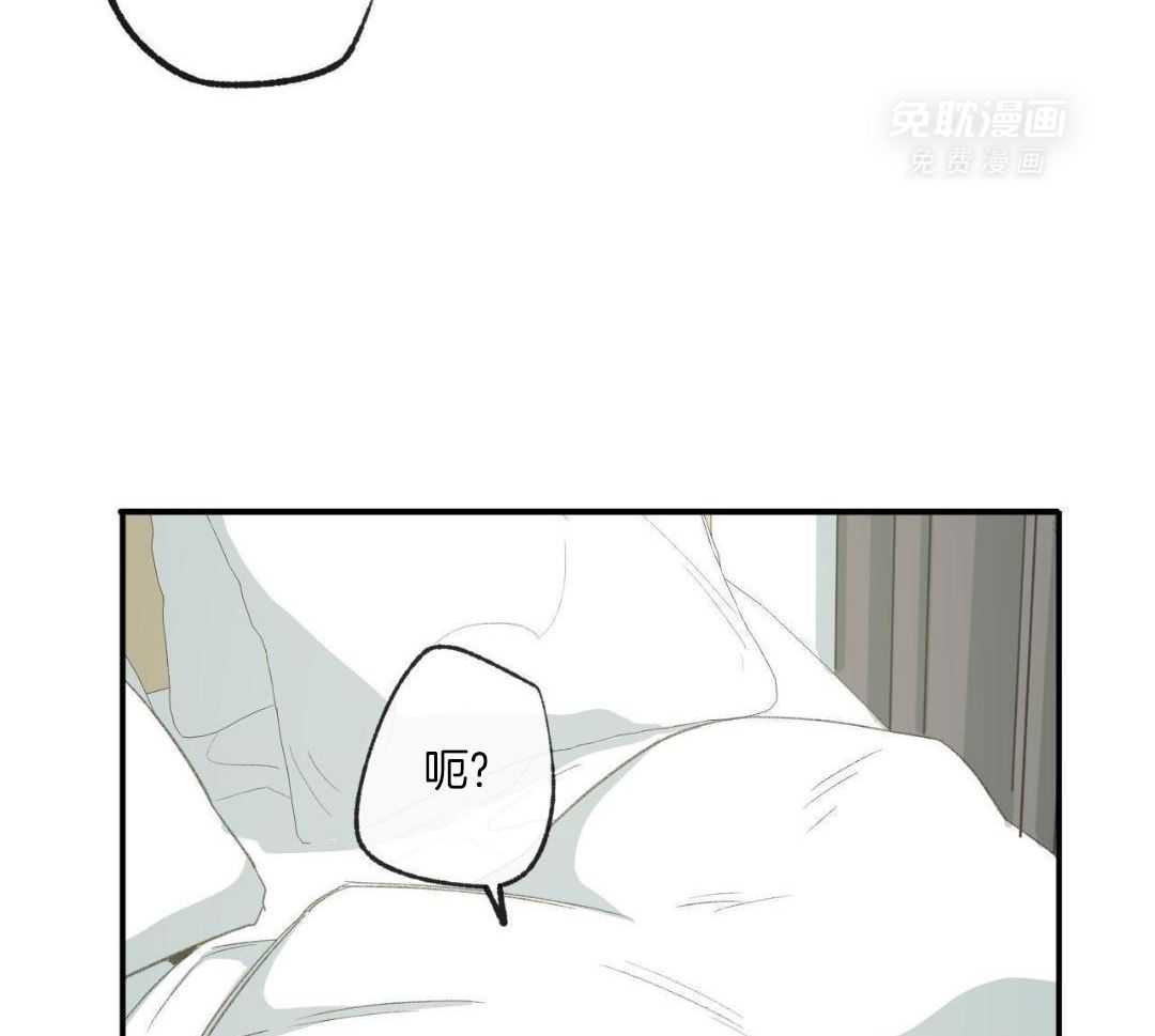 同情的形式（共3季） 第250话 第36页