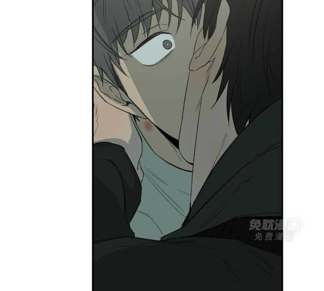 同情的形式（共3季） 第250话 第40页