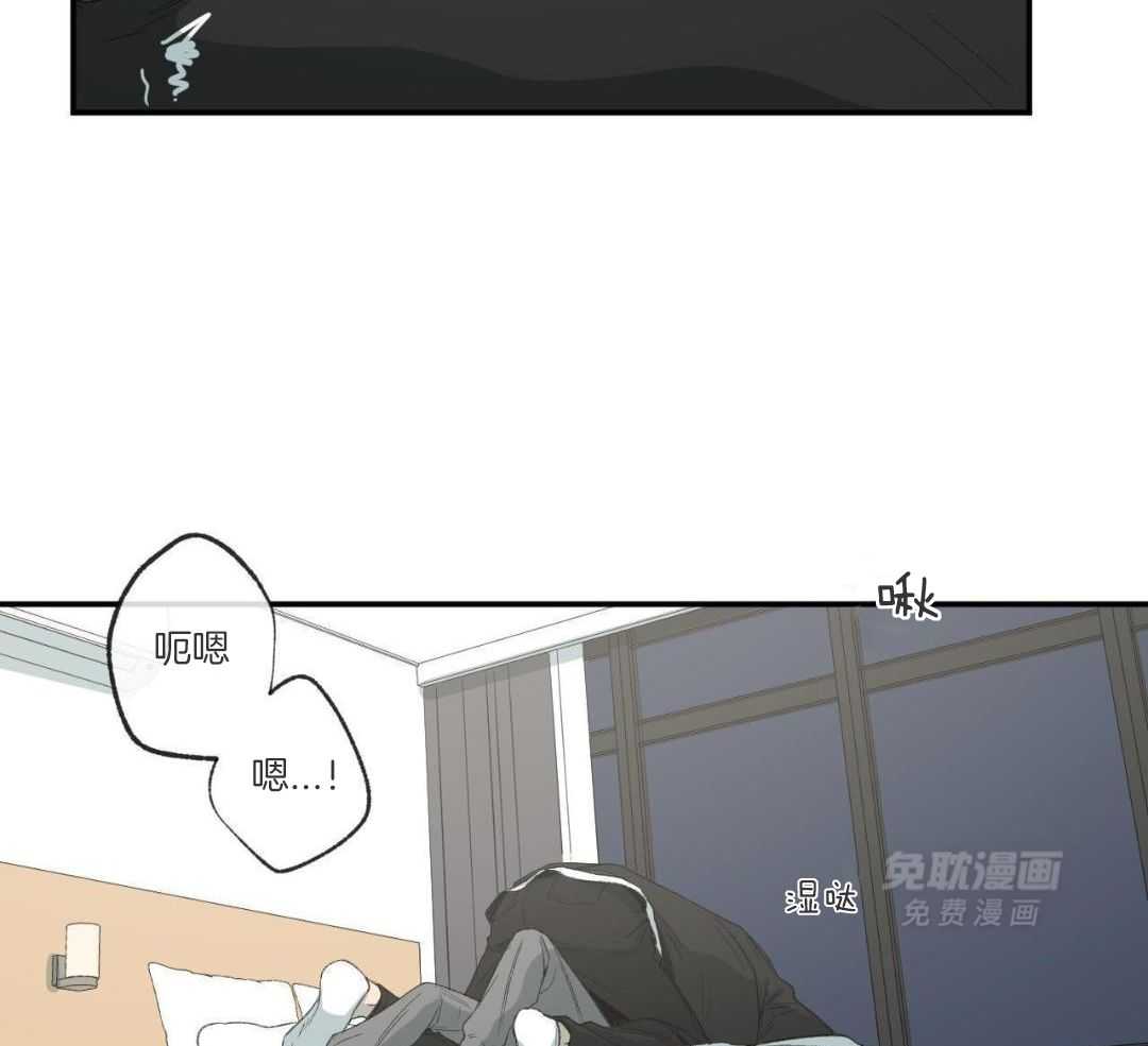 同情的形式（共3季） 第251话 第11页