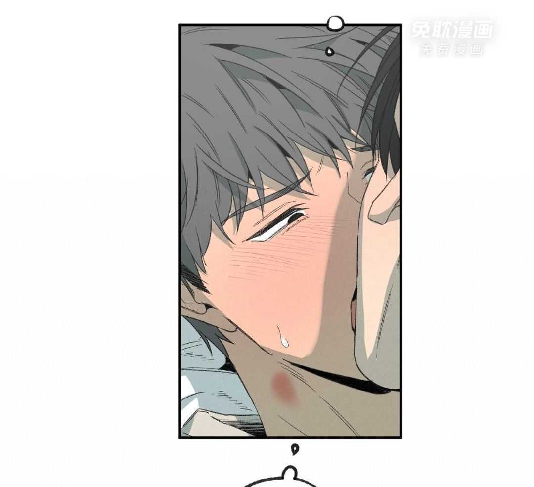 同情的形式（共3季） 第251话 第13页