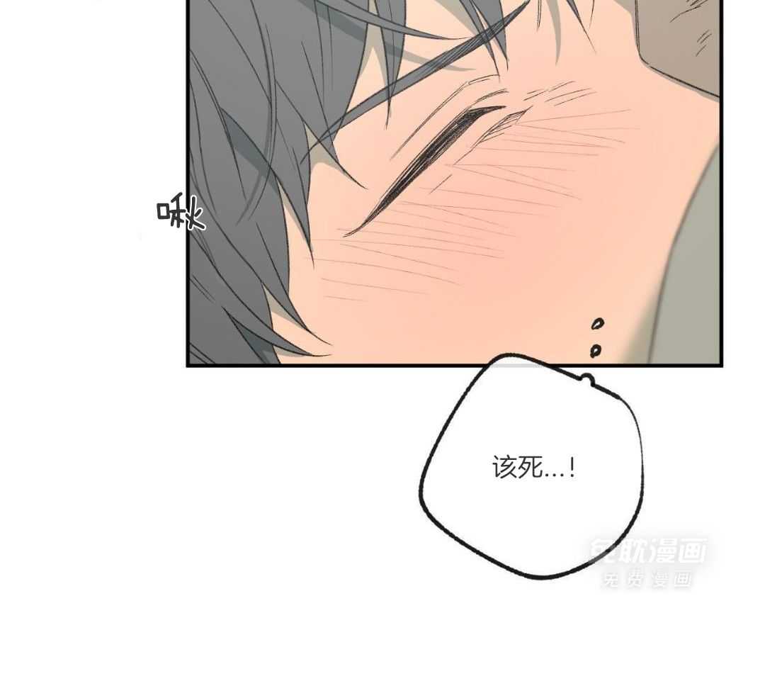 同情的形式（共3季） 第251话 第17页