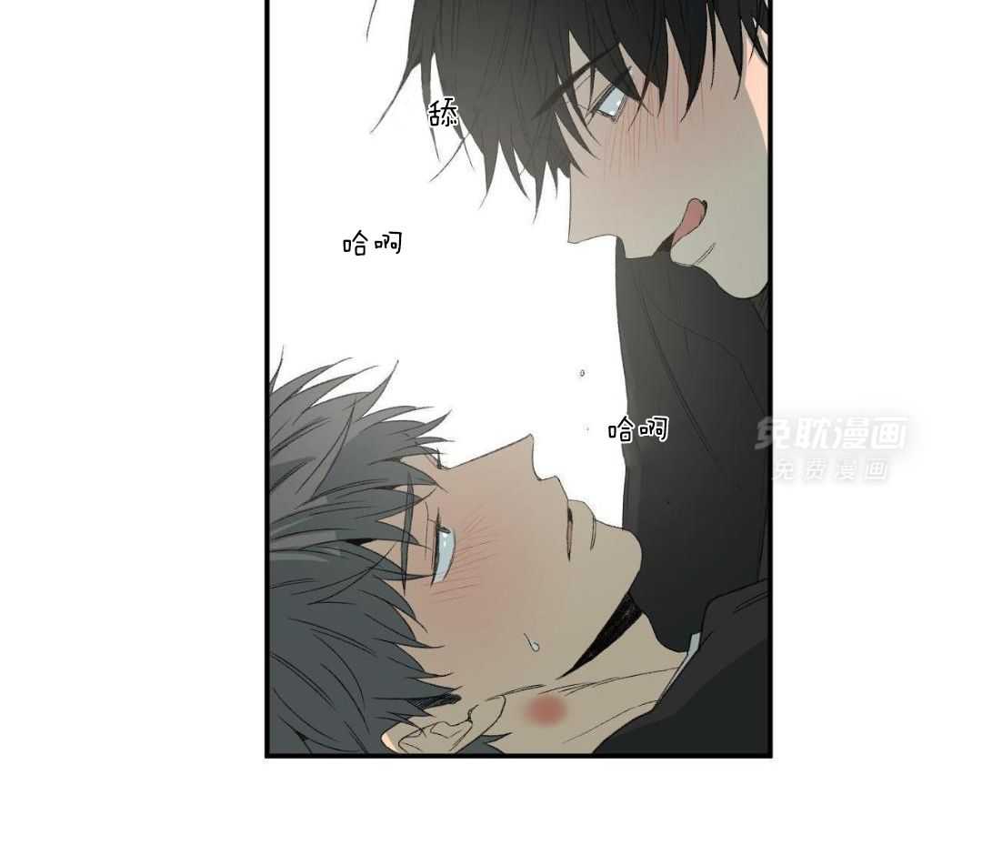 同情的形式（共3季） 第251话 第25页