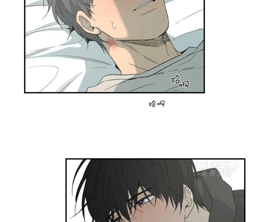 同情的形式（共3季） 第251话 第29页