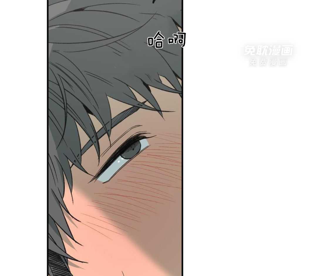 同情的形式（共3季） 第251话 第31页