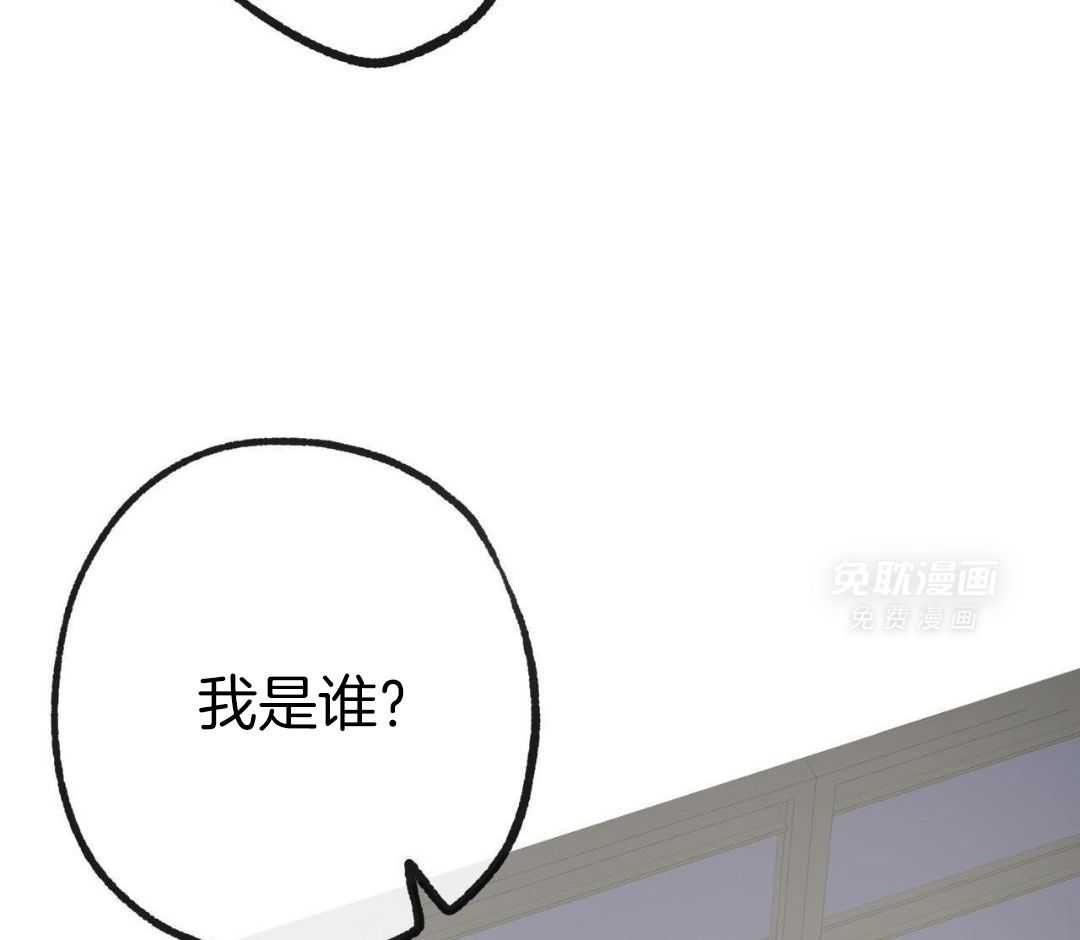 同情的形式（共3季） 第251话 第33页