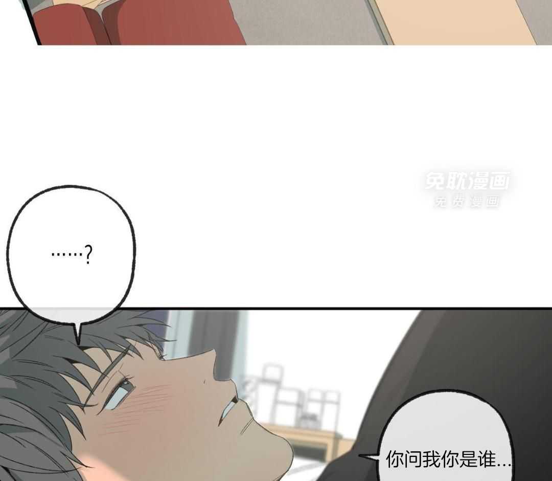 同情的形式（共3季） 第251话 第36页