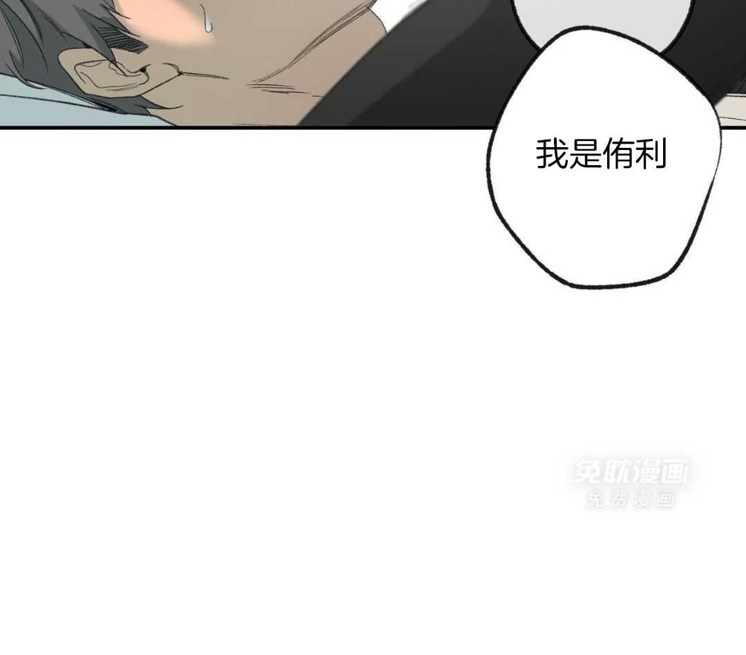 同情的形式（共3季） 第251话 第37页