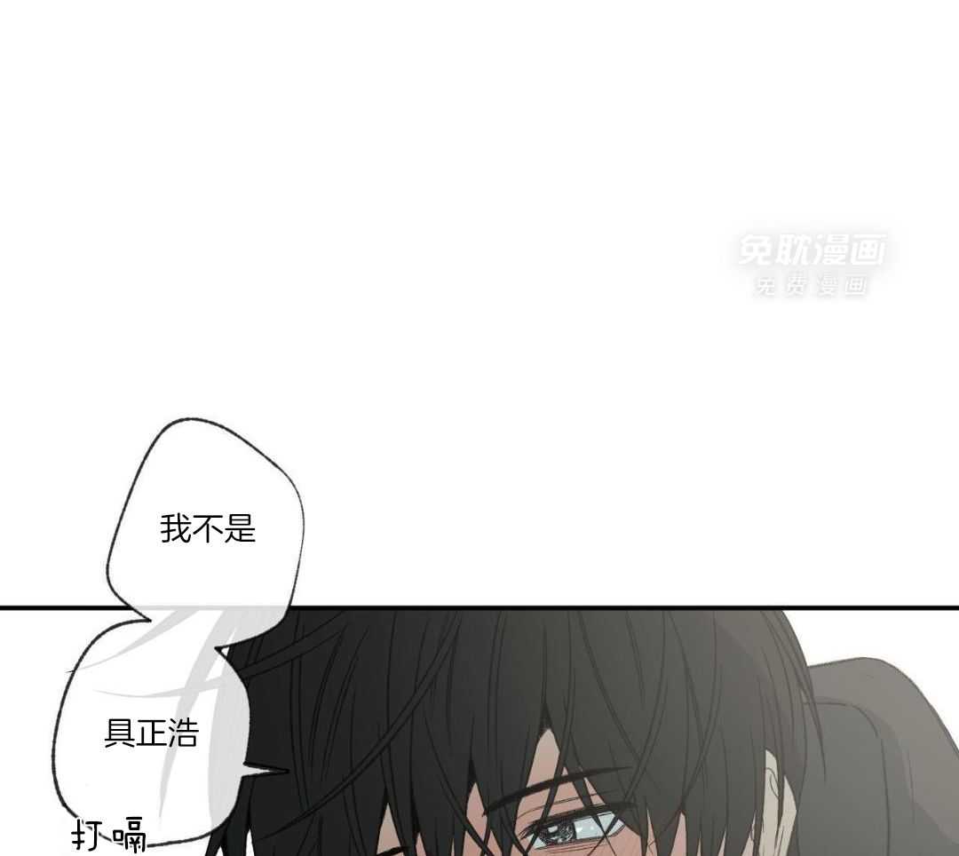 同情的形式（共3季） 第252话 第0页