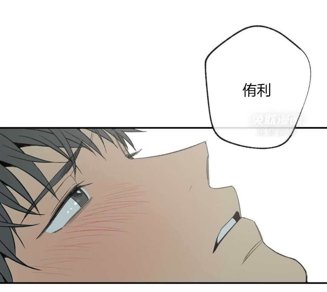 同情的形式（共3季） 第252话 第2页