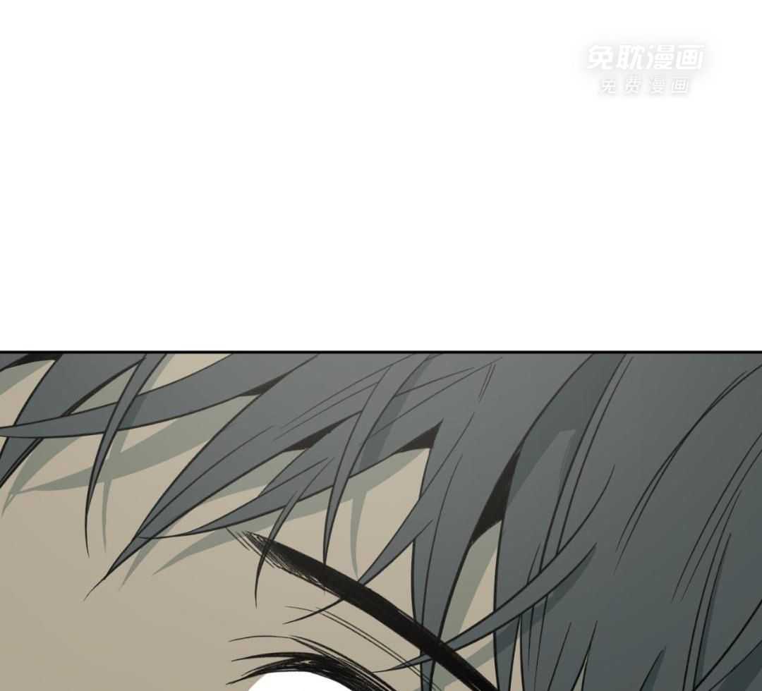 同情的形式（共3季） 第252话 第17页