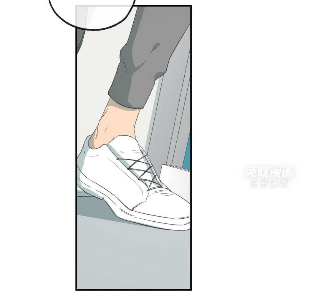 同情的形式（共3季） 第252话 第31页