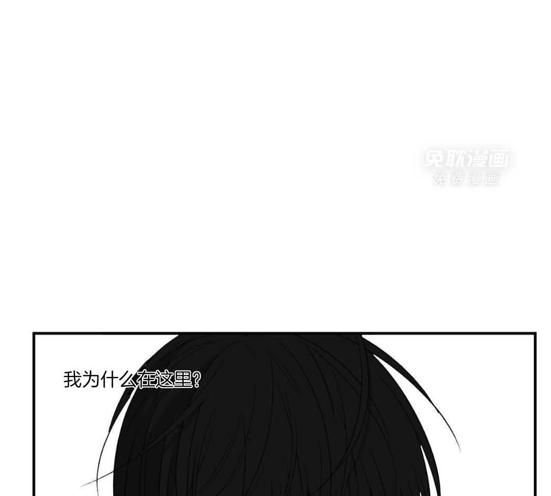 同情的形式（共3季） 第253话 第0页