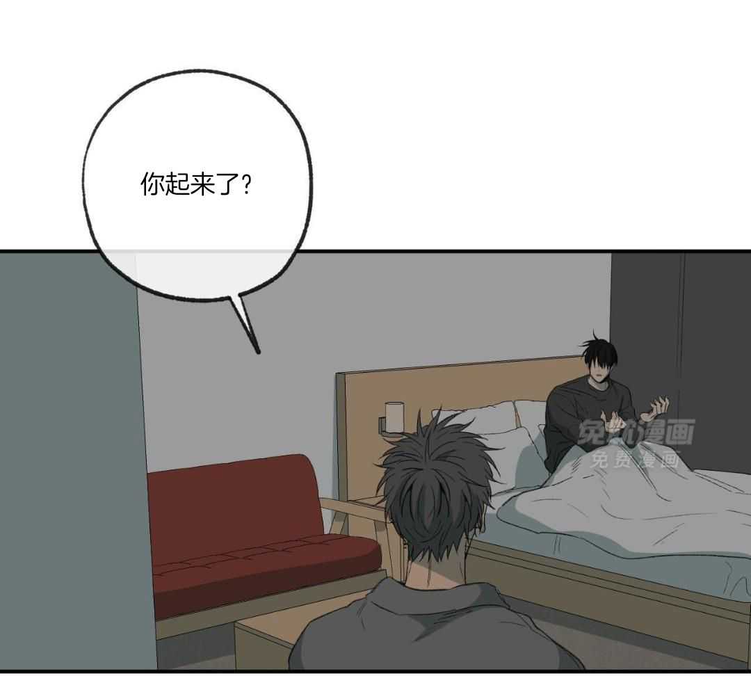 同情的形式（共3季） 第253话 第4页