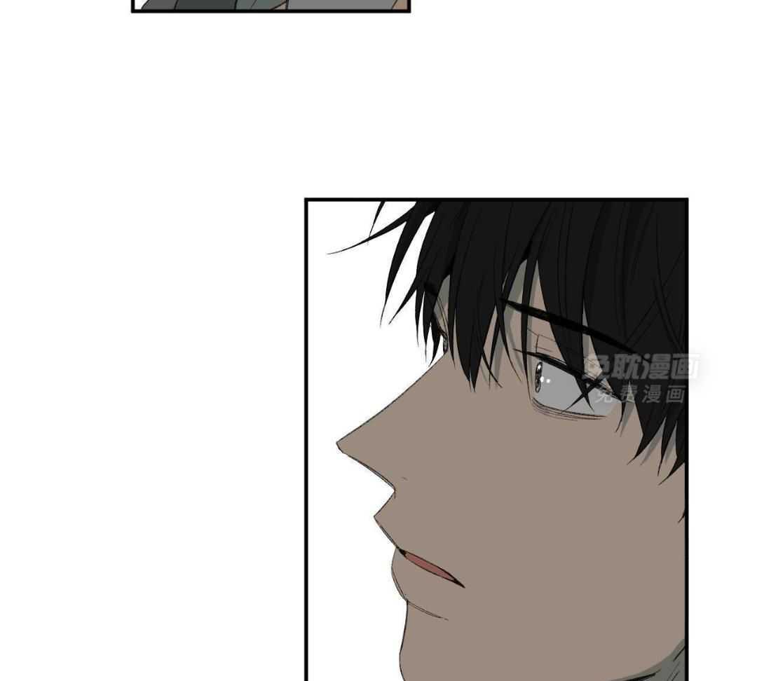 同情的形式（共3季） 第253话 第12页