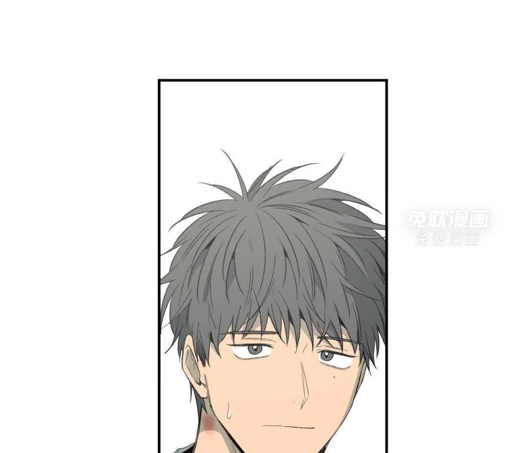 同情的形式（共3季） 第253话 第20页